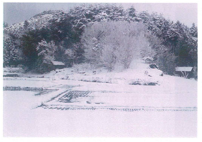 「野神」の冬景色 現「ふれあ、法場」付近の画像