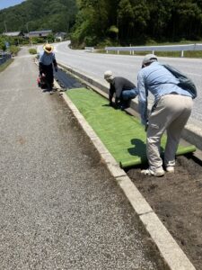 須恵器の里のコキア2025