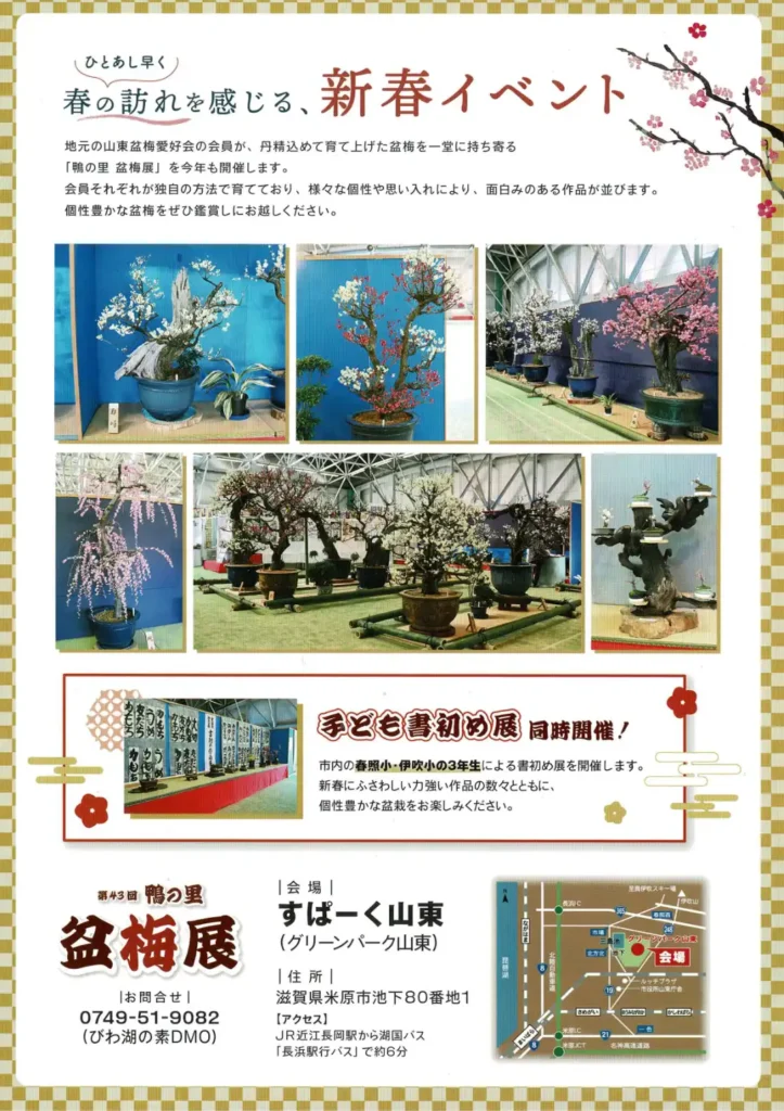 第43回盆梅展のチラシ裏